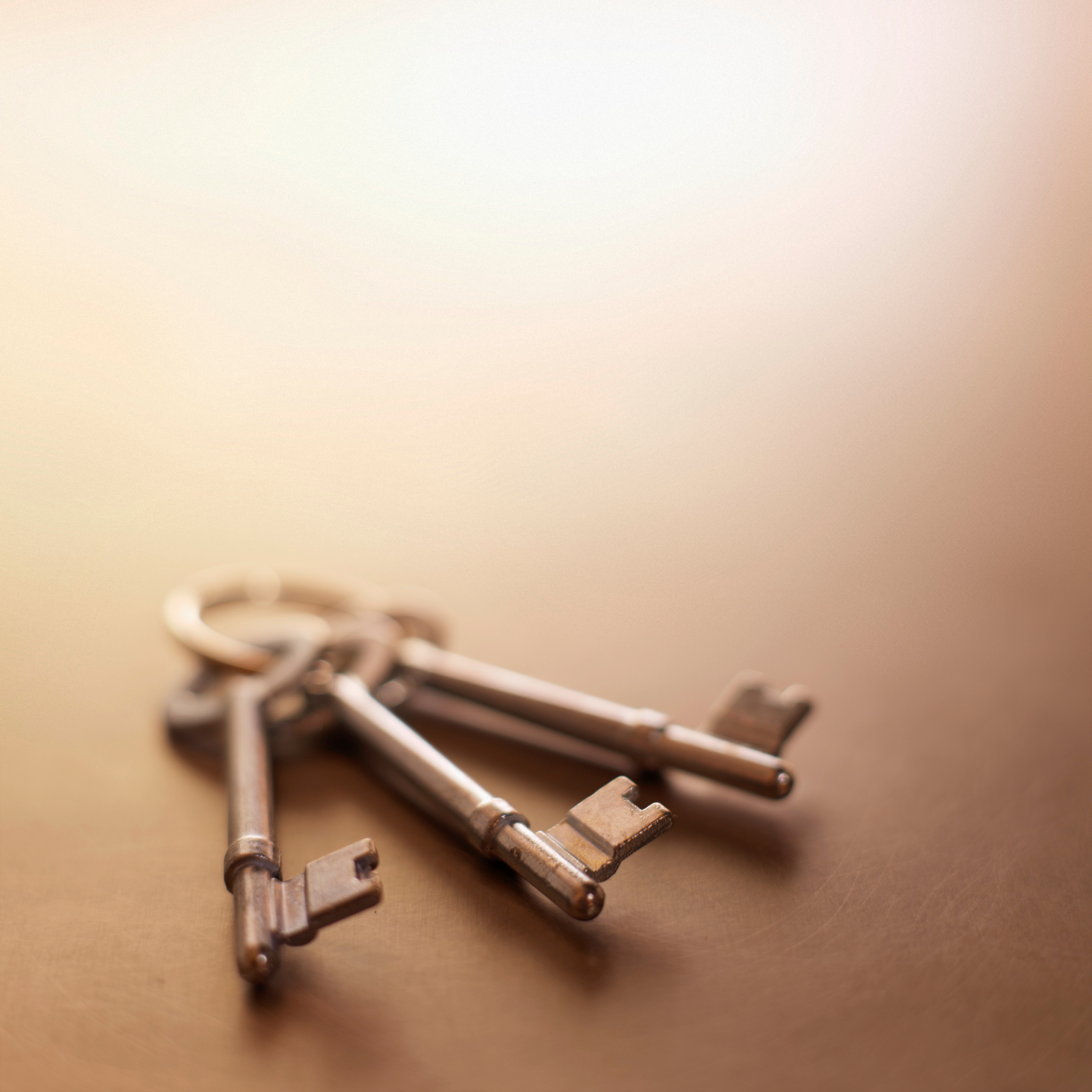 high angle view of keys in a key ring