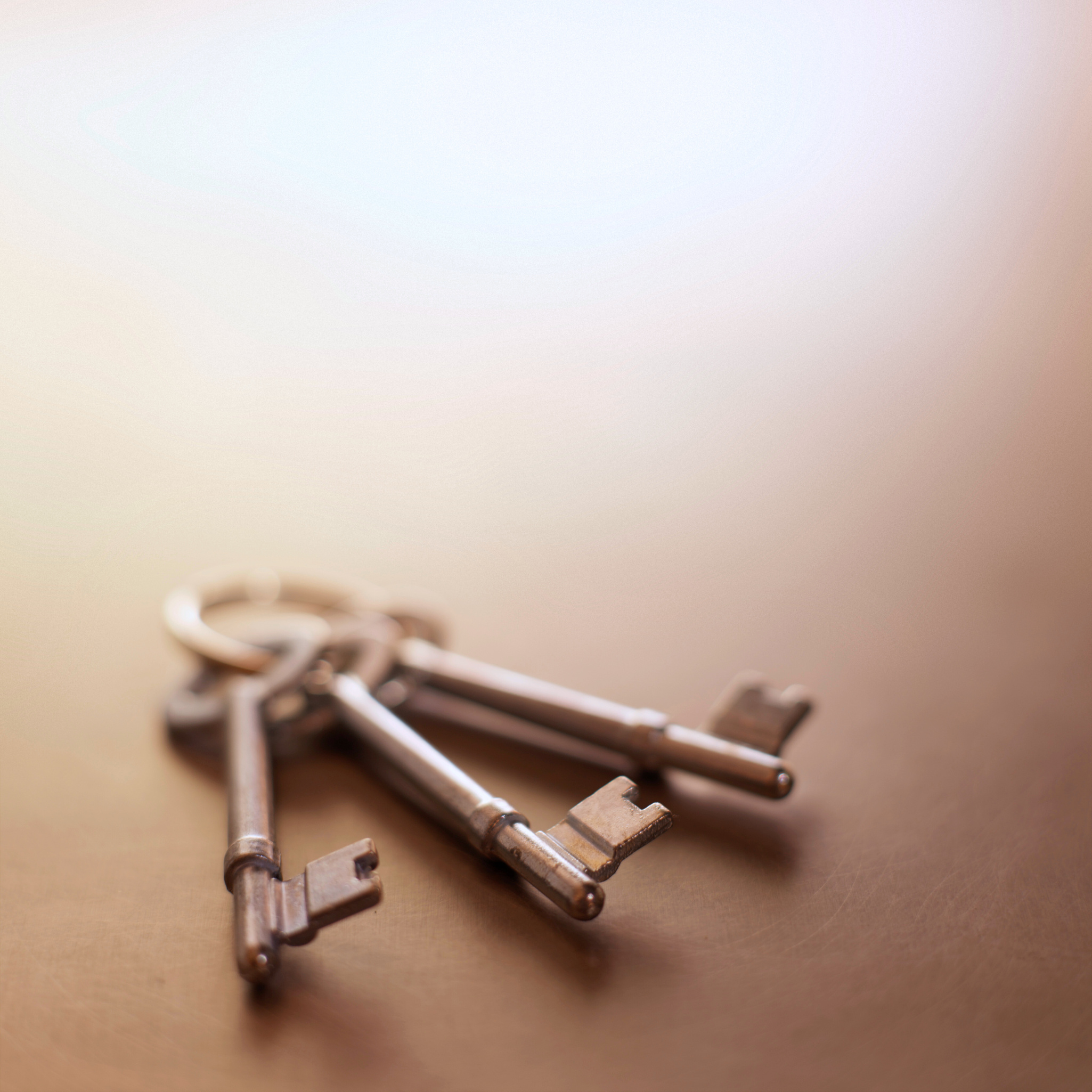 high angle view of keys in a key ring